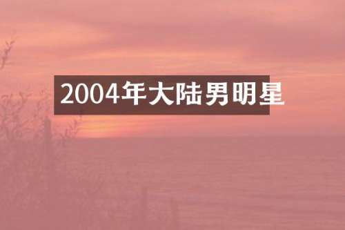 2004年大陆男明星