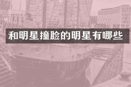 和明星撞脸的明星有哪些
