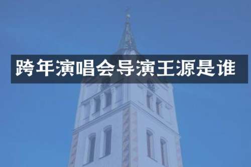 跨年演唱会导演王源是谁