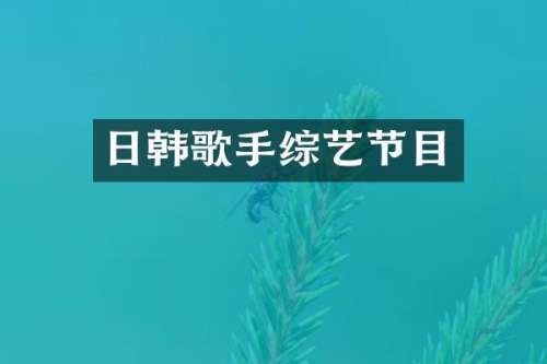 日韩歌手综艺节目