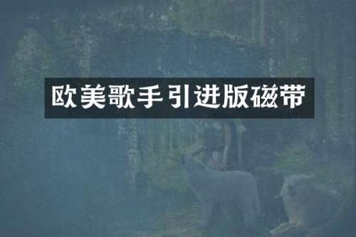 欧美歌手引进版磁带