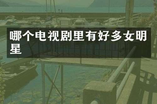 哪个电视剧里有好多女明星