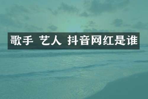 歌手 艺人 抖音网红是谁