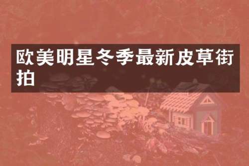 欧美明星冬季最新皮草街拍