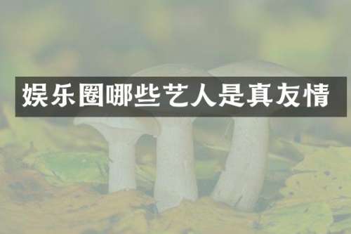 娱乐圈哪些艺人是真友情
