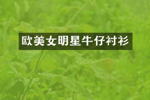 欧明星牛仔衬衫