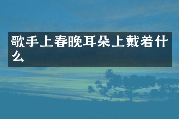 歌手上耳朵上戴着什么
