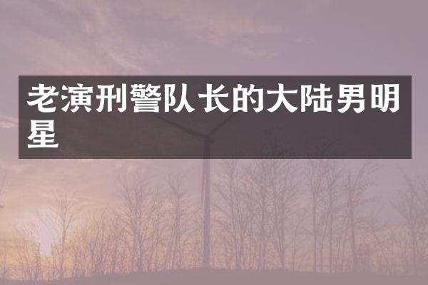 老演刑警队长的大陆男明星