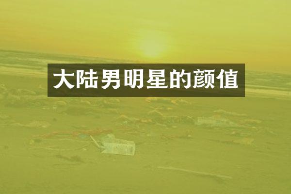 大陆男明星的颜值