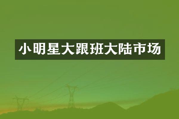 小明星大跟班大陆市场