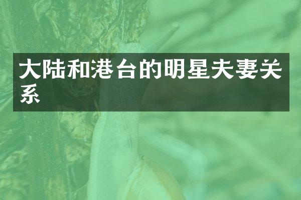 大陆和港台的明星夫妻关系
