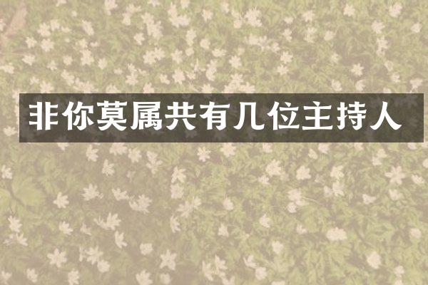 非你莫属共有几位主持人