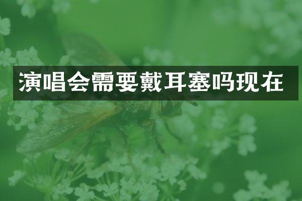 演唱会需要戴耳塞吗现在