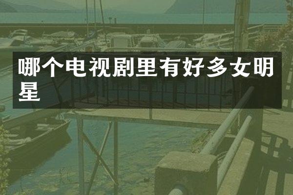 哪个电视剧里有好多女明星
