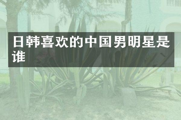 日韩喜欢的中国男明星是谁