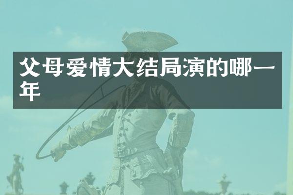 父母爱情大结局演的哪一年