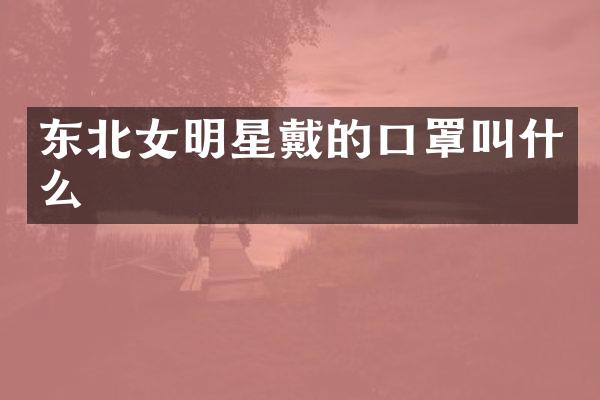 东北女明星戴的口罩叫什么