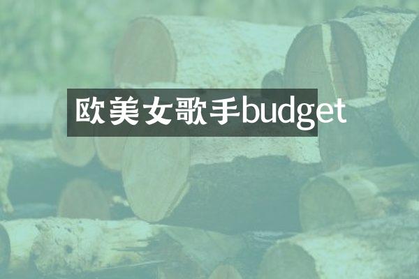 欧歌手budget