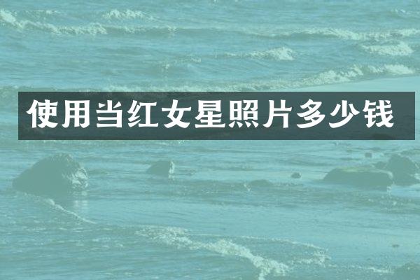 使用当红女星照片多少钱