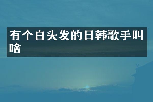 有个白头发的日韩歌手叫啥