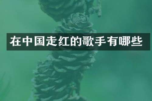 在中国走红的歌手有哪些