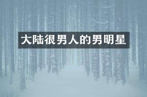 大陆很男人的男明星
