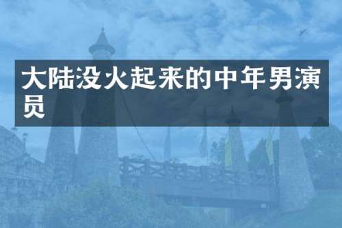 大陆没火起来的中年男演员
