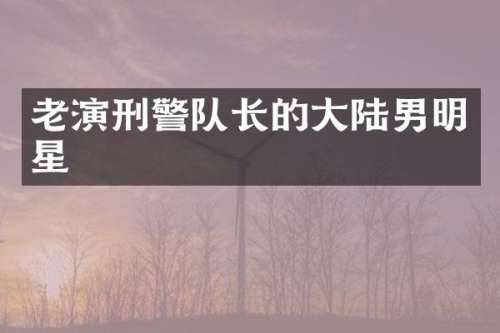 老演刑警队长的大陆男明星