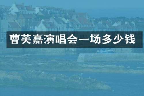 曹芙嘉演唱会一场多少钱