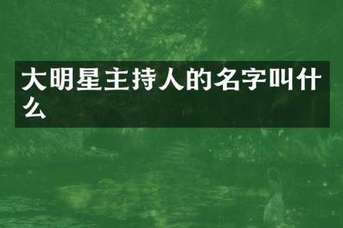 大明星主持人的名字叫什么