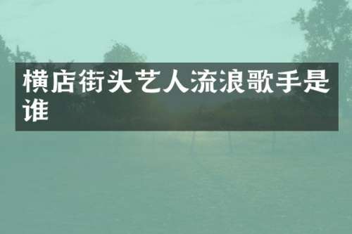 横店街头艺人流浪歌手是谁