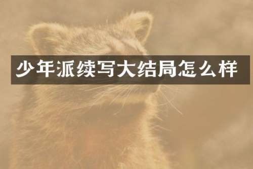 少年派续写大结局怎么样