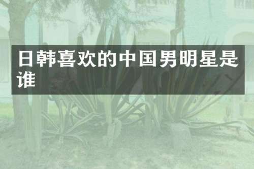 日韩喜欢的中国男明星是谁