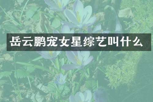 岳云鹏宠女星综艺叫什么