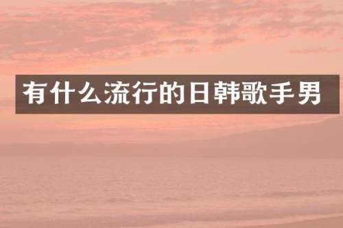 有什么流行的日韩歌手男