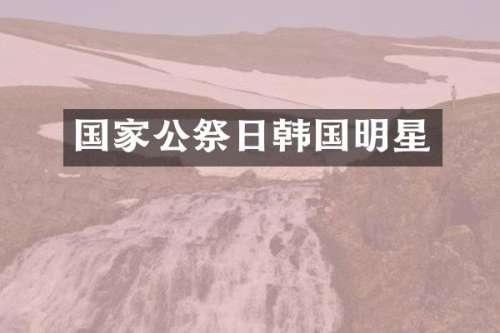 国家公祭日韩国明星