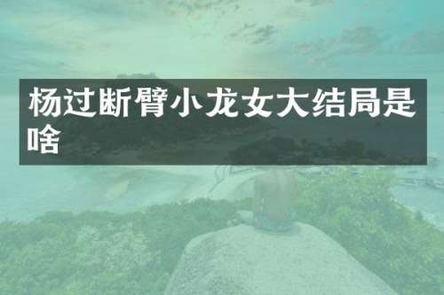 杨过断臂大结局是啥