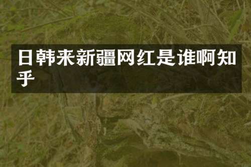 日韩来新疆网红是谁啊知乎