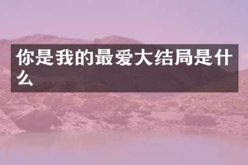 你是我的最爱大结局是什么