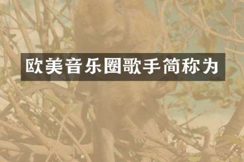 欧美音乐圈歌手简称为