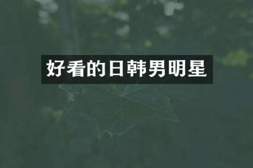 好看的日韩男明星