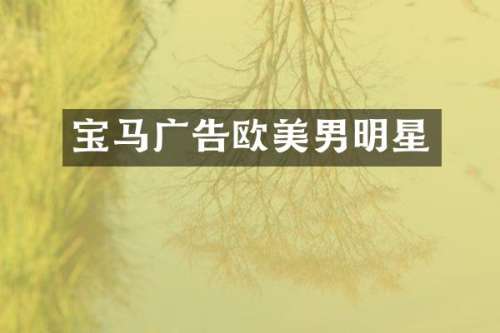 宝马广告欧美男明星