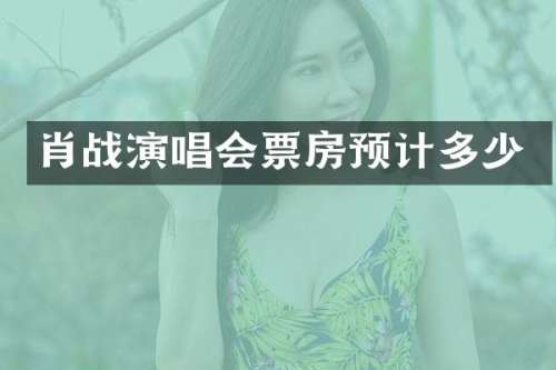 肖战演唱会票房预计多少