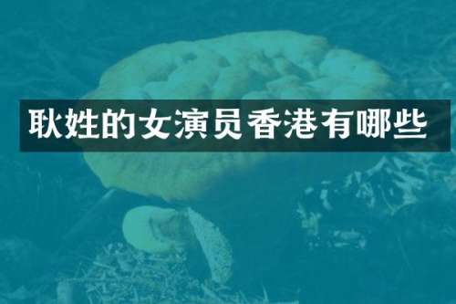 耿姓的女演员香港有哪些