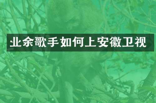 业余歌手如何上安徽卫视