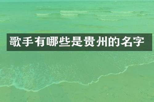 歌手有哪些是贵州的名字