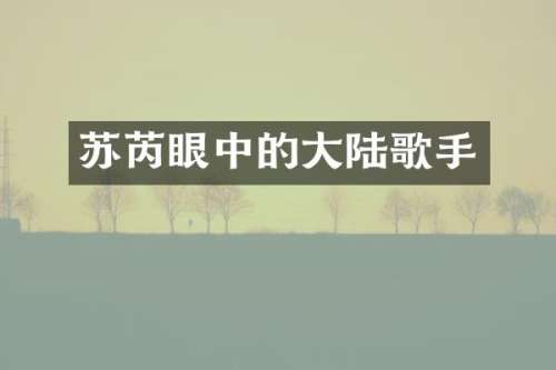 苏芮眼中的大陆歌手