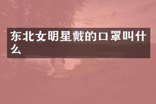 东北女明星戴的口罩叫什么