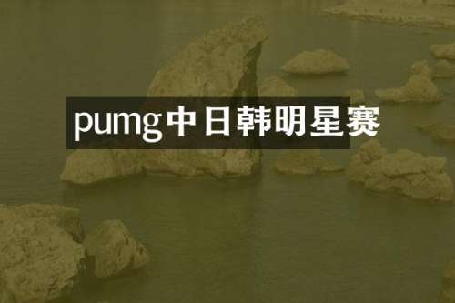 pumg中日韩明星赛
