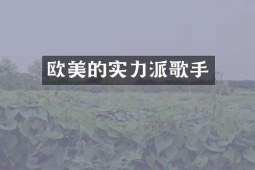 欧美的实力派歌手